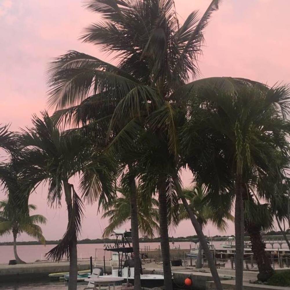 Meet your Posher, Sonja